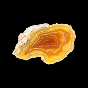 LAGUNA AGATE 008 - Del Rey Agates Gems & Minerals Inc.