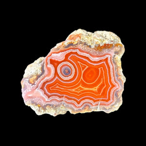 LAGUNA AGATE 016 - Del Rey Agates Gems & Minerals Inc.