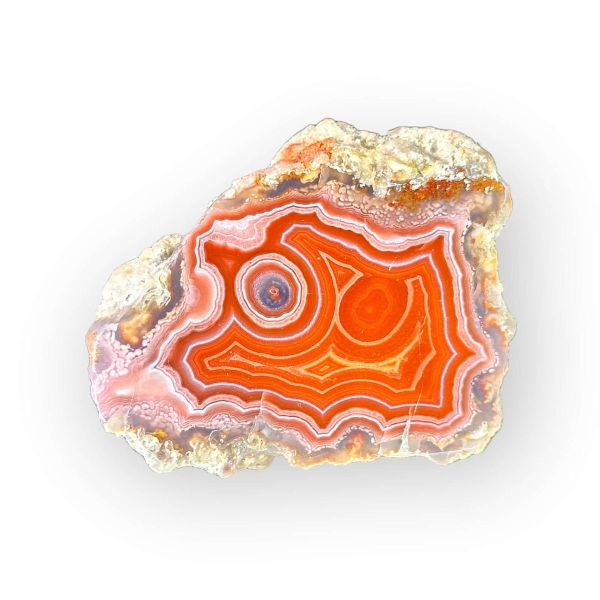 LAGUNA AGATE 016 - Del Rey Agates Gems & Minerals Inc.