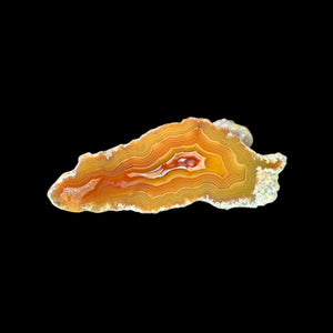LAGUNA AGATE 025 - Del Rey Agates Gems & Minerals Inc.