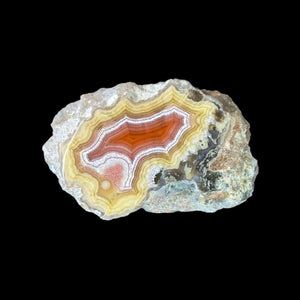 LAGUNA AGATE 023 - Del Rey Agates Gems & Minerals Inc.