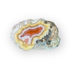 LAGUNA AGATE 023 - Del Rey Agates Gems & Minerals Inc.