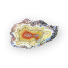 LAGUNA AGATE 020 - Del Rey Agates Gems & Minerals Inc.