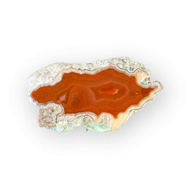 LAGUNA AGATE 022 - Del Rey Agates Gems & Minerals Inc.