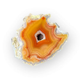 LAGUNA AGATE 026 - Del Rey Agates Gems & Minerals Inc.