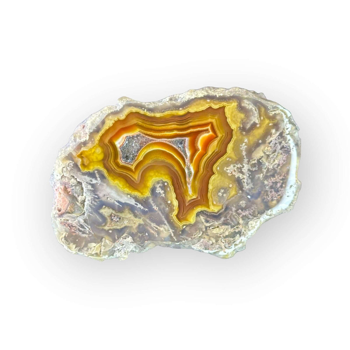 LAGUNA AGATE 009 - Del Rey Agates Gems & Minerals Inc.