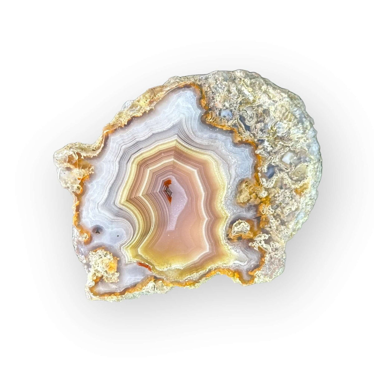 LAGUNA AGATE 015 - Del Rey Agates Gems & Minerals Inc.
