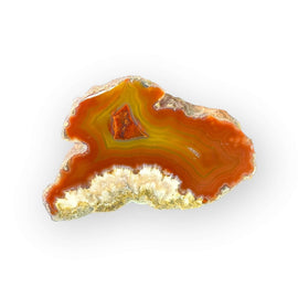LAGUNA AGATE 036 - Del Rey Agates Gems & Minerals Inc.
