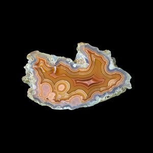 LAGUNA AGATE 038 - Del Rey Agates Gems & Minerals Inc.