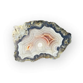 LAGUNA AGATE 043 B - Del Rey Agates Gems & Minerals Inc.