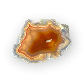 LAGUNA AGATE 044 - Del Rey Agates Gems & Minerals Inc.