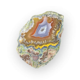 LAGUNA AGATE 048 - Del Rey Agates Gems & Minerals Inc.
