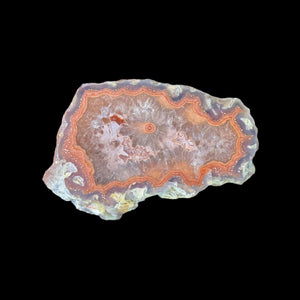 LAGUNA AGATE 049 - Del Rey Agates Gems & Minerals Inc.