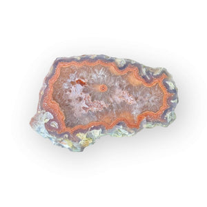 LAGUNA AGATE 049 - Del Rey Agates Gems & Minerals Inc.