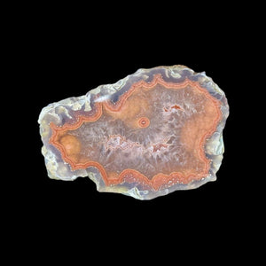 LAGUNA AGATE 050 - Del Rey Agates Gems & Minerals Inc.