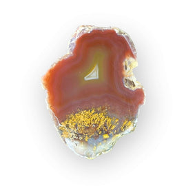LAGUNA AGATE 051 - Del Rey Agates Gems & Minerals Inc.