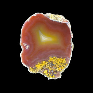 LAGUNA AGATE 052 - Del Rey Agates Gems & Minerals Inc.