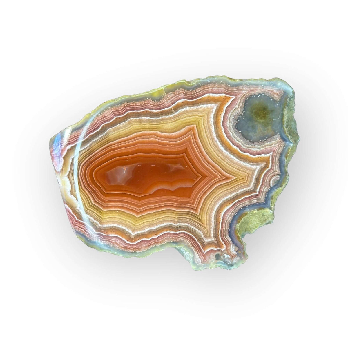 LAGUNA AGATE 055 - Del Rey Agates Gems & Minerals Inc.