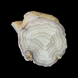 LAGUNA AGATE 065 - Del Rey Agates Gems & Minerals Inc.
