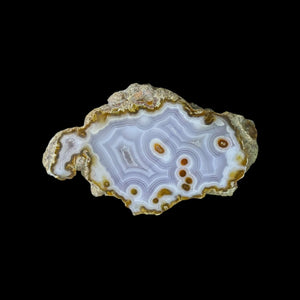 LAGUNA AGATE 066 - Del Rey Agates Gems & Minerals Inc.