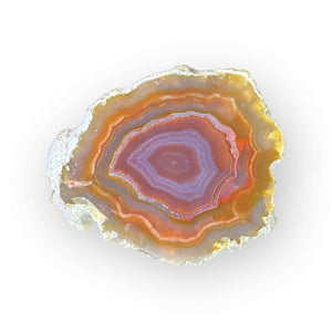 LAGUNA AGATE 068 - Del Rey Agates Gems & Minerals Inc.