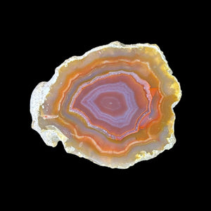 LAGUNA AGATE 068 - Del Rey Agates Gems & Minerals Inc.