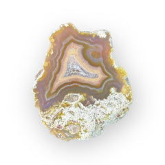 LAGUNA AGATE 072 - Del Rey Agates Gems & Minerals Inc.
