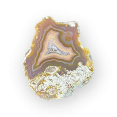 LAGUNA AGATE 072 - Del Rey Agates Gems & Minerals Inc.