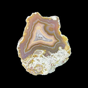 LAGUNA AGATE 072 - Del Rey Agates Gems & Minerals Inc.