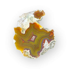 LAGUNA AGATE 074 - Del Rey Agates Gems & Minerals Inc.