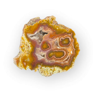LAGUNA AGATE 076 - Del Rey Agates Gems & Minerals Inc.