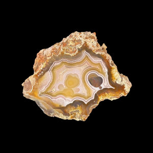 LAGUNA AGATE 077 - Del Rey Agates Gems & Minerals Inc.