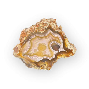 LAGUNA AGATE 077 - Del Rey Agates Gems & Minerals Inc.