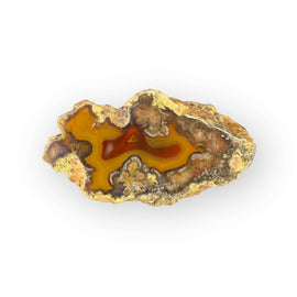 LAGUNA AGATE 078 - Del Rey Agates Gems & Minerals Inc.