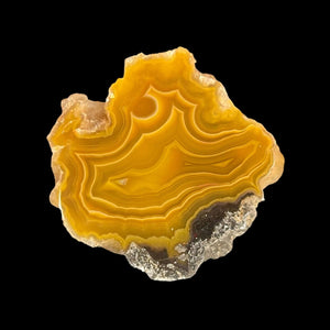 LAGUNA AGATE 081 - Del Rey Agates Gems & Minerals Inc.