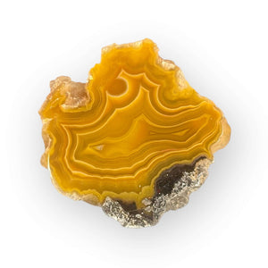 LAGUNA AGATE 081 - Del Rey Agates Gems & Minerals Inc.
