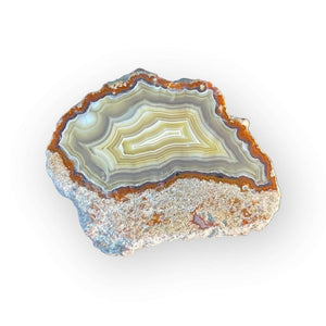 LAGUNA AGATE 087 - Del Rey Agates Gems & Minerals Inc.