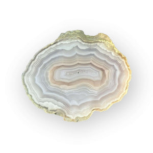 LAGUNA AGATE 091 - Del Rey Agates Gems & Minerals Inc.