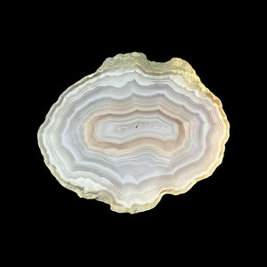 LAGUNA AGATE 091 - Del Rey Agates Gems & Minerals Inc.