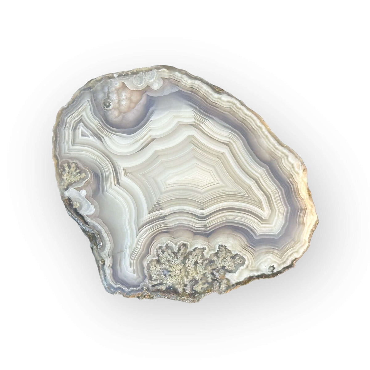 LAGUNA AGATE 095 - Del Rey Agates Gems & Minerals Inc.