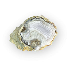 LAGUNA AGATE 098 - Del Rey Agates Gems & Minerals Inc.