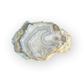 LAGUNA AGATE 099 - Del Rey Agates Gems & Minerals Inc.