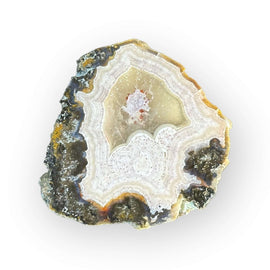 LAGUNA AGATE 107 - Del Rey Agates Gems & Minerals Inc.