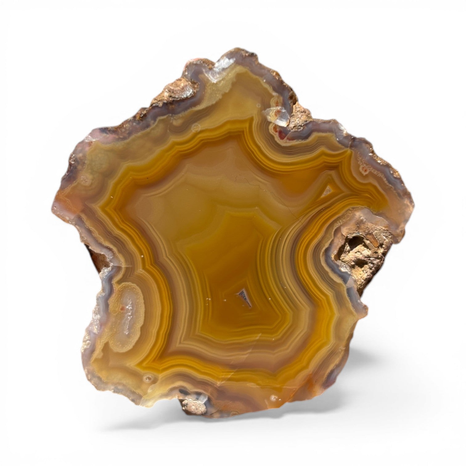 LAGUNA AGATE FB01-04A