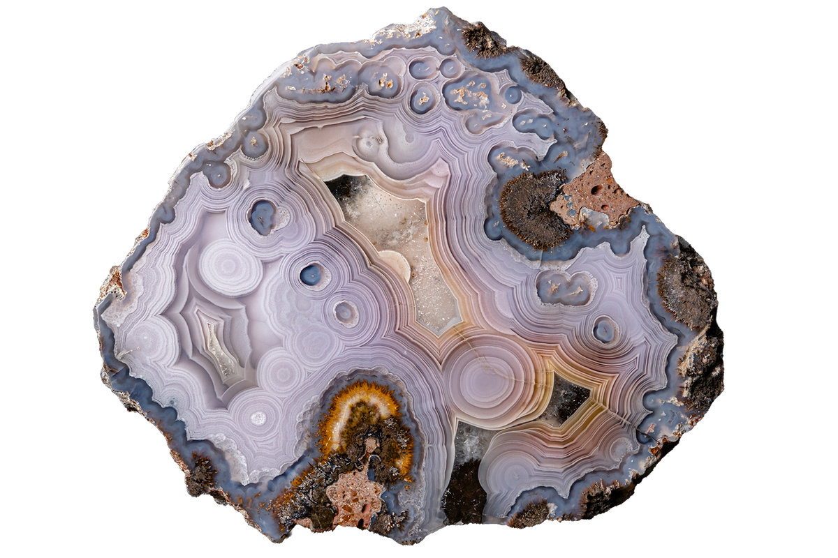 A polished agate geode slice with concentric banding in pale lavender, gray, white, and blue, with small areas of brown and orange matrix, shown on a plain white background.