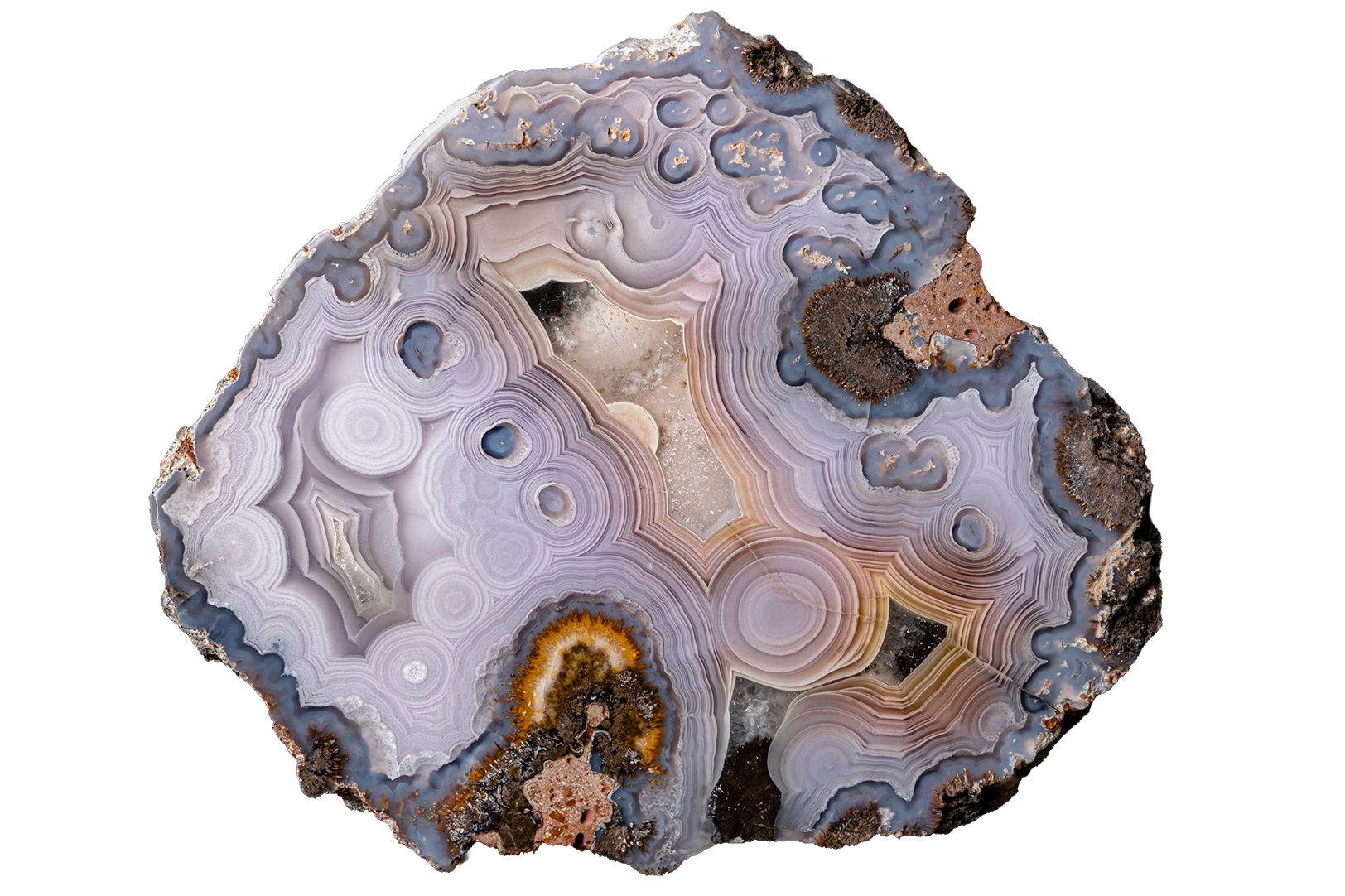 A polished agate geode slice with concentric banding in pale lavender, gray, white, and blue, with small areas of brown and orange matrix, shown on a plain white background.