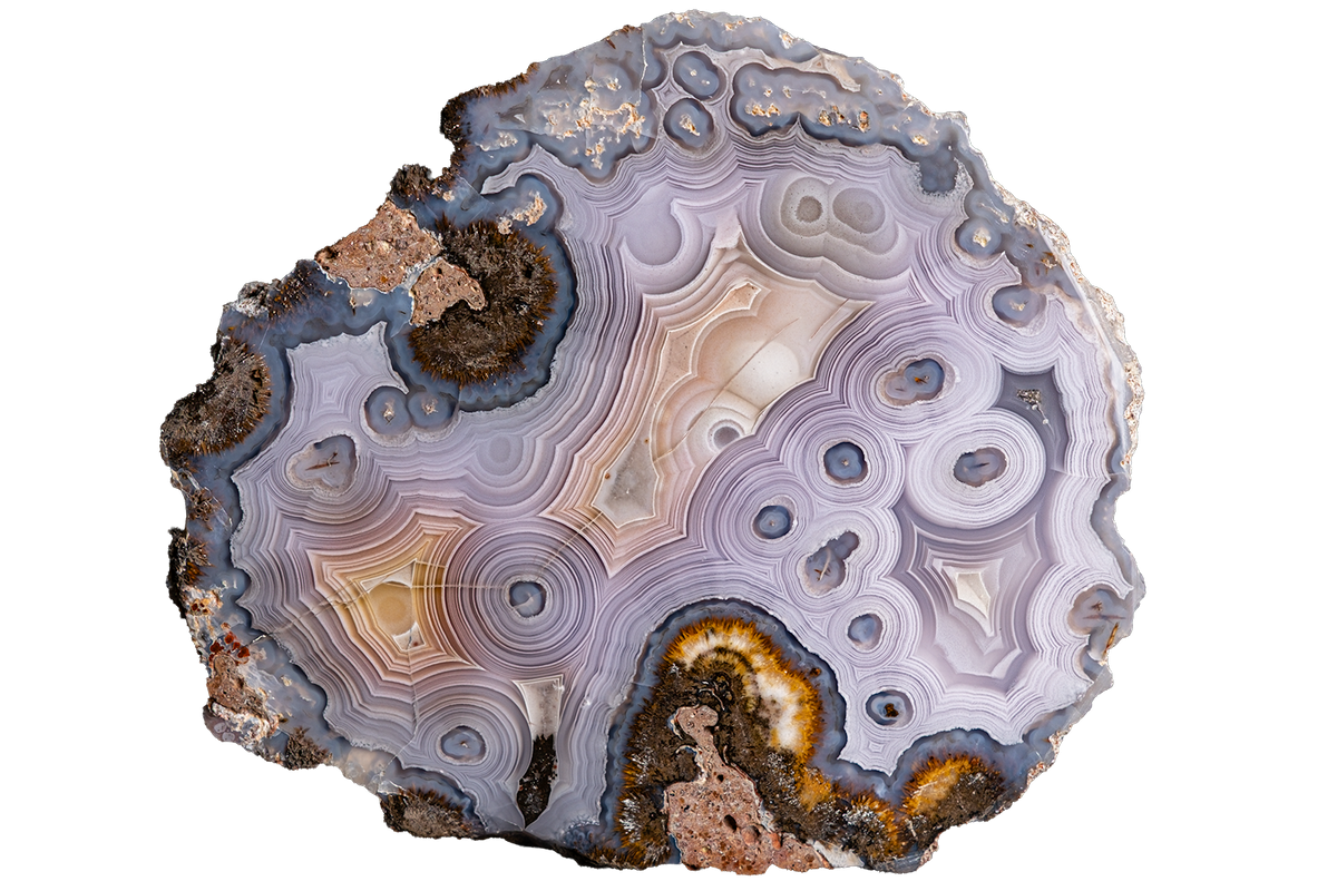 A polished agate slice featuring concentric rings of lavender, light purple, gray, and cream, accented with dark brown and metallic gold banded patterns, isolated on a white background.