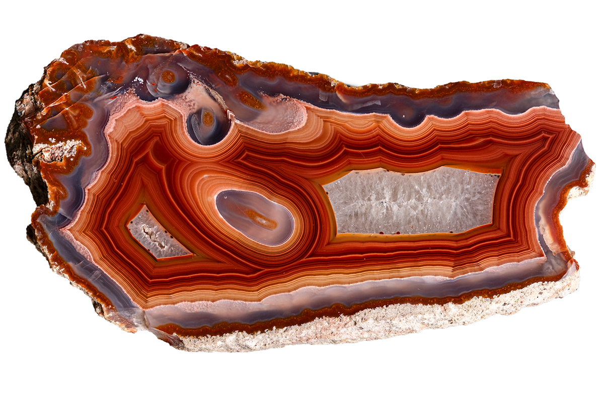 A polished slice of agate or banded stone with concentric bands of orange, red, brown, cream, and gray, shown on a plain white background.