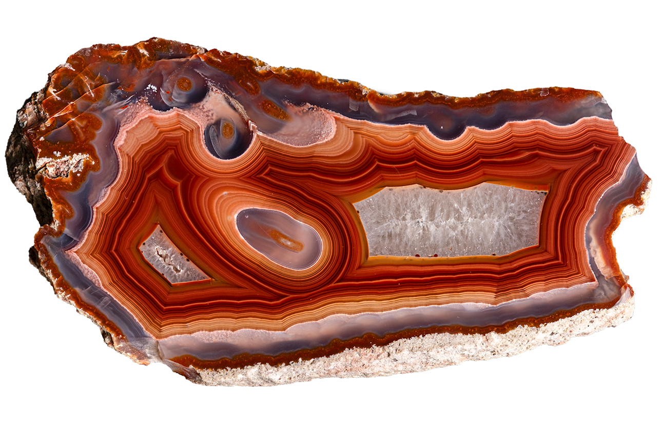 A polished slice of agate or banded stone with concentric bands of orange, red, brown, cream, and gray, shown on a plain white background.