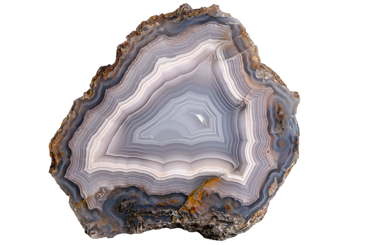 A polished cross-section of agate or jasper stone with concentric bands of gray, white, blue-gray, and brown, shown on a plain white background.